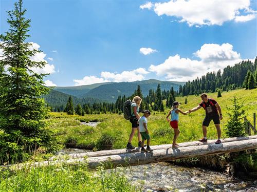 Feriehus - 5 personer -  - Wöbring - 9363 - Metnitz