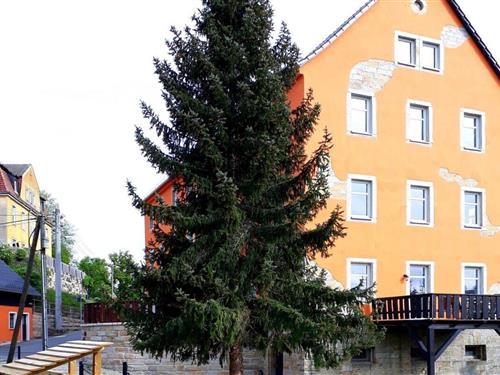 Sommerhus - 5 personer -  - 01814 - Reinhardtsdorf