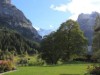 Bilde 4