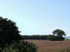 Image 14