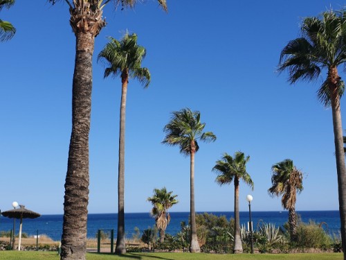 Ferielejlighed - 5 personer -  - Urb. El Mirador de Bermuda Beach - 29693 - Estepona