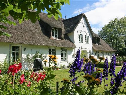 Sommerhus - 4 personer -  - 25889 - Uelvesbüll