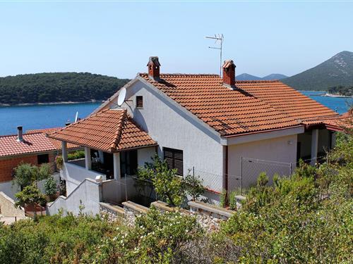 Holiday apartment - 3 persons -  - Brgulje - 23292 - Brgulje