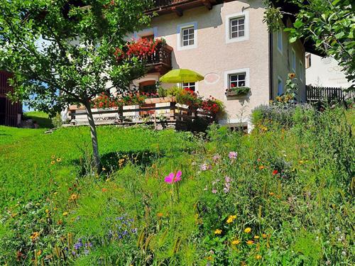 Bauernhof - 2 persons -  - Burgfrieden - 9909 - Leisach