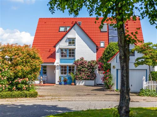 Ferienhaus - 4 Personen -  - Eschenweg - 23683 - Scharbeutz