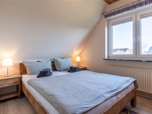 Ferieleilighet - 3 personer -  - Am Deich - 25826 - Sankt Peter-Ording