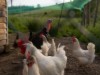 Bild 17