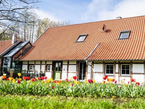 Feriehus - 4 personer -  - 33775 - Versmold