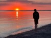 Billede 31