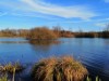 Bild 19