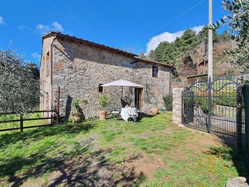 Ferielejlighed - 2 personer -  - Via di Foce - 55064 - Loppeglia-Fiano