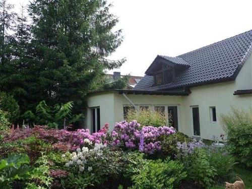 Ferielejlighed - 5 personer -  - Rehsprung - 06869 - Möllensdorf