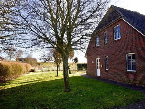 Holiday apartment - 5 persons -  - Süderhafen - 25845 - Nordstrand