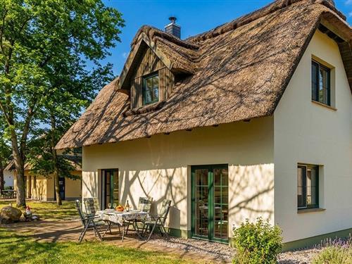 Feriehus - 4 personer -  - Steuermann´s Weg - 17419 - Zirchow