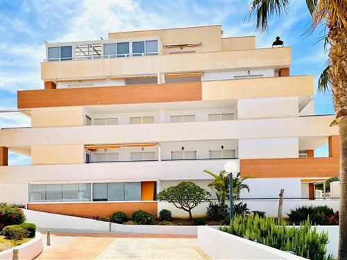 Holiday apartment - 6 persons -  - 04740 - Roquetas De Mar