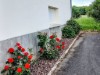 Billede 26 - Ude