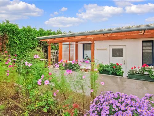 Feriehus - 4 personer -  - Kranichstraße - Waren (Müritz) Ot Warenshof - 17192 - Waren (Müritz) Ot Ware