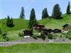 Billede 18 - Ude