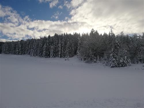 Ferienwohnung - 2 Personen -  - Brandstatt - 87637 - Seeg