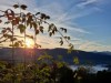 Bild 17