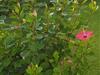 Bild 41
