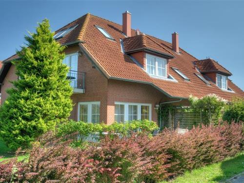 Sommerhus - 6 personer -  - 23769 - Fehmarn