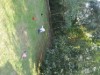 Billede 18