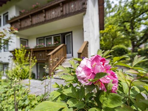 Holiday Home/Apartment - 1 person -  - Ludwig-Thoma Str. - 83435 - Bad Reichenhall