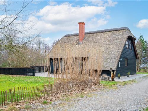 Sommerhus - 8 personer -  - Nørrevang - Houstrup - 6830 - Nr. Nebel