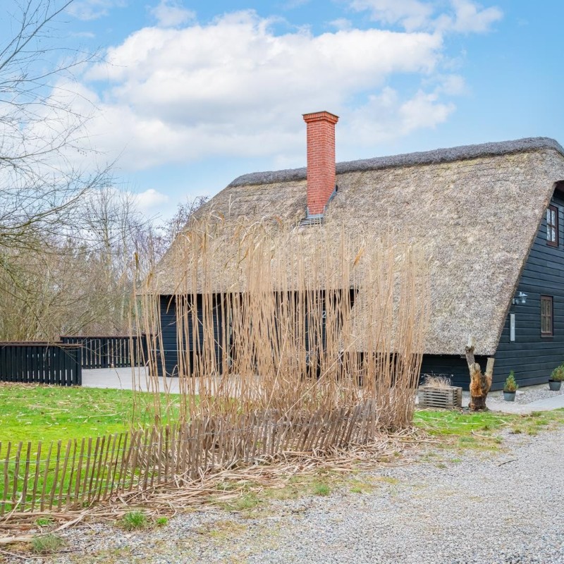 Ferienhaus - 8 Personen -  - Nørrevang - Houstrup - 6830 - Nr. Nebel