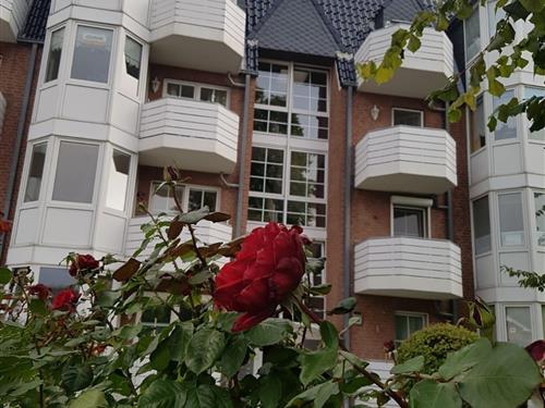 Ferielejlighed - 2 personer -  - Seestraße - 23747 - Dahme