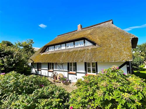 Ferielejlighed - 5 personer -  - Zum Höft - 18586 - Mönchgut