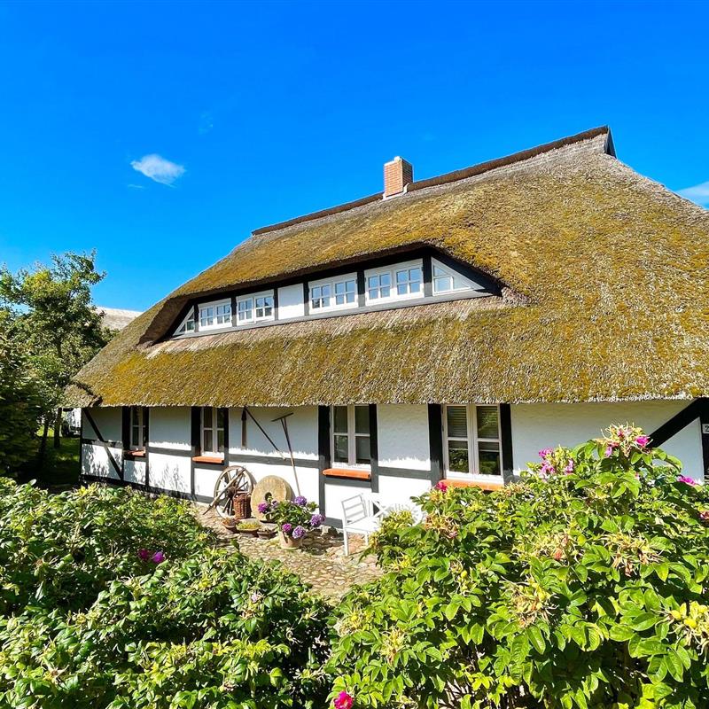 Ferielejlighed - 5 personer -  - Zum Höft - 18586 - Gager