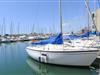Billede 33