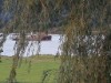 Bild 20 - Ude