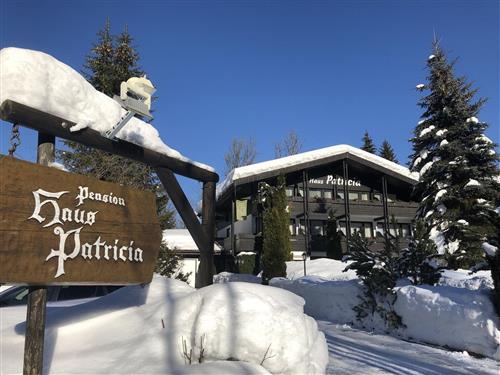 Ferieleilighet - 4 personer -  - Lofer - 5090 - Lofer