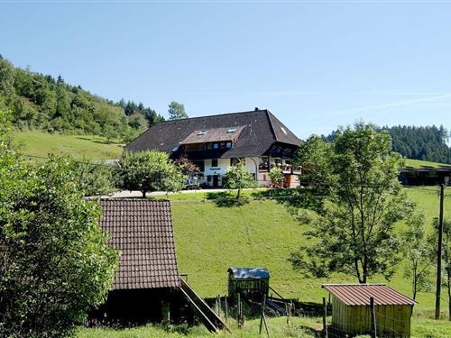 Fritidshus - 4 personer -  - 77773 - Schenkenzell