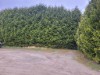 Bild 22