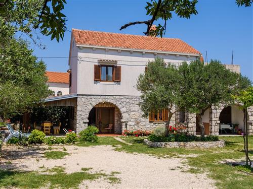 Holiday apartment - 5 persons -  - Punta Križa - 51554 - Nerezine