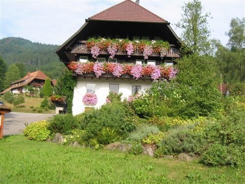 Holiday Home/Apartment - 2 persons -  - Herrenbach - 77793 - Gutach