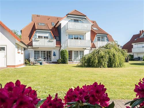 Holiday Home/Apartment - 3 persons -  - Alte Reihe - 18374 - Zingst