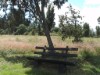 Bild 19
