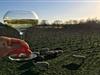 Bild 32