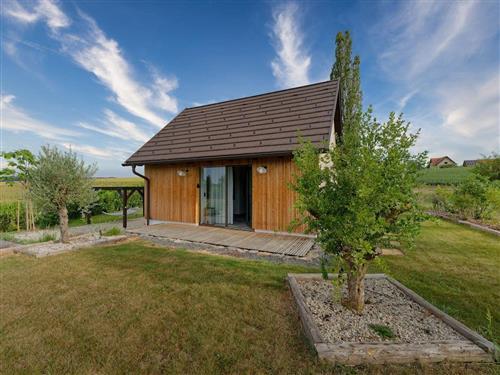 Fritidshus - 2 personer -  - Dirnbach - 8345 - Straden