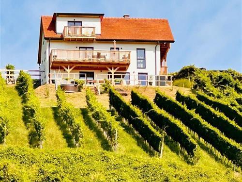 Fritidshus - 9 personer -  - Sankt Anna Am Aigen - 8354