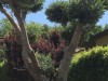 Image 26 - Outside
