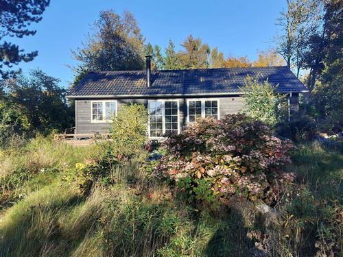 Ferienhaus - 6 Personen -  - Vestre Strandvej - 4305 - Orö