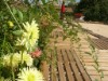 Image 33 - Outside