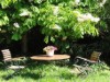Bilde 1