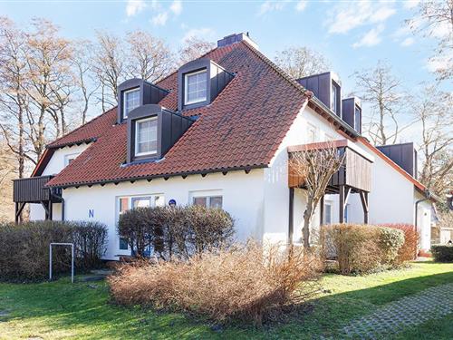 Sommerhus - 4 personer -  - Grüne Str. - 18375 - Prerow